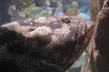 Similar image 8198243