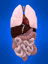 Similar image 8198262