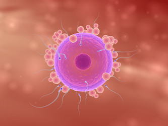 Similar image 8198272