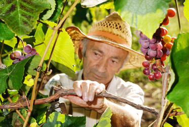 Similar image 8198320