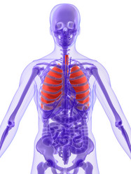 Similar image 8198366