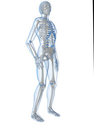 Similar image 8198386