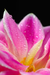 Similar image 8198416