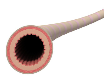 Similar image 8198476