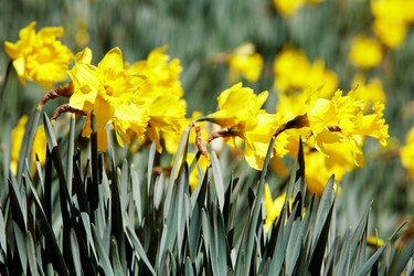 Similar image 8198483