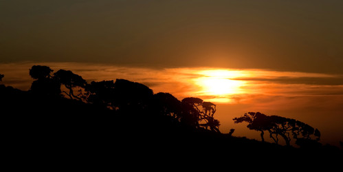 Similar image 8198512