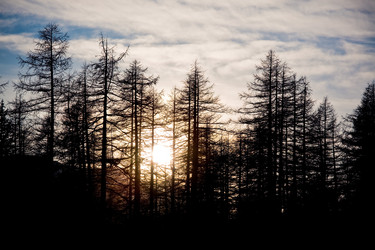 Similar image 8198515