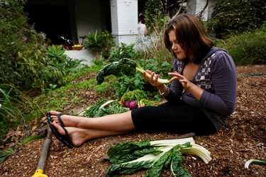 Similar image 8198533