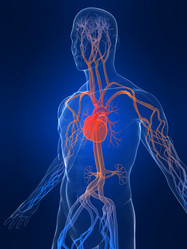 Similar image 8198570