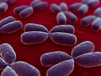 Similar image 8198587