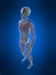 Similar image 8198639