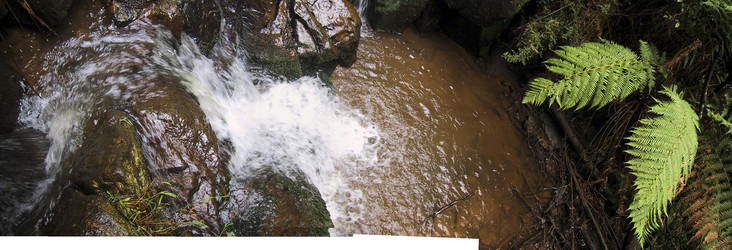 Similar image 8198645