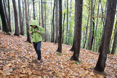 Similar image 8198696