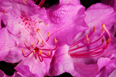 Similar image 8198713