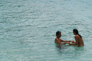 Similar image 8198716