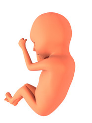 Similar image 8198730