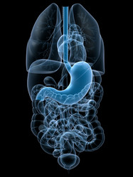 Similar image 8198760