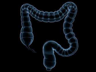 Similar image 8198806