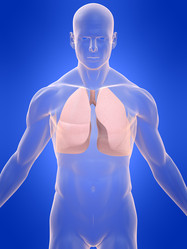 Similar image 8198864