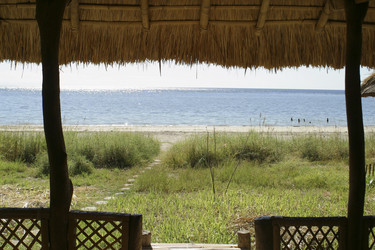 Similar image 8198869