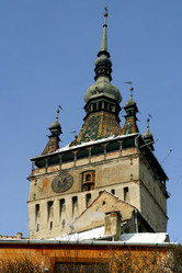 Similar image 8198873