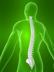 Similar image 8198947