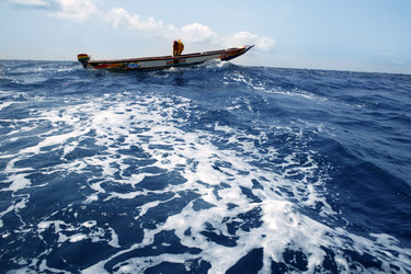 Similar image 8199002