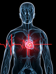 Similar image 8199008