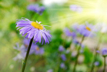 Similar image 8199018