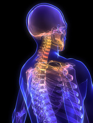 Similar image 8199041