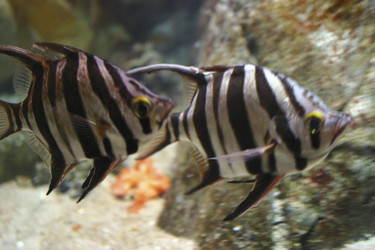 Similar image 8199068