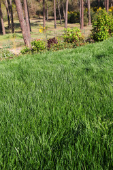 Similar image 8199095