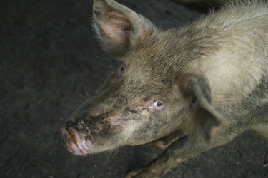 Similar image 8199114