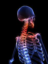 Similar image 8199155