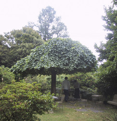 Similar image 8199166