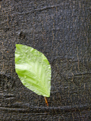 Similar image 8199167