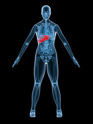 Similar image 8199183