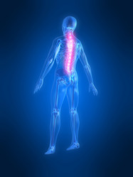 Similar image 8199185