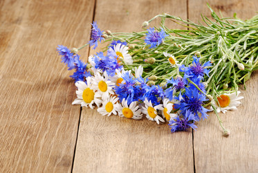 Similar image 8199189