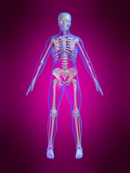 Similar image 8199192