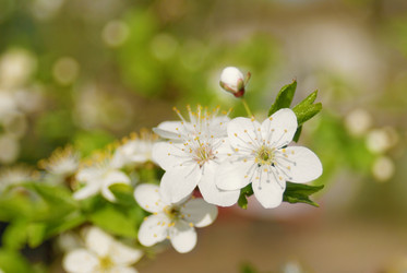 Similar image 8199210