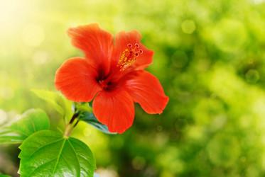 Similar image 8199222