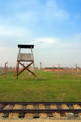 Similar image 8199286