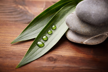 Similar image 8199373