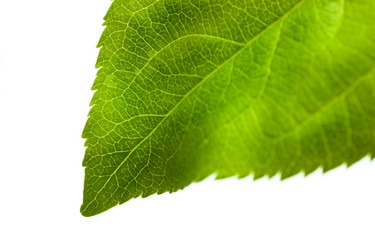 Similar image 8199409