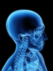 Similar image 8199439