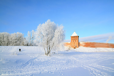 Similar image 8199459