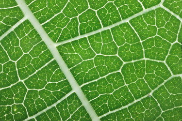 Similar image 8199487