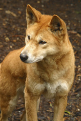 Similar image 8199503