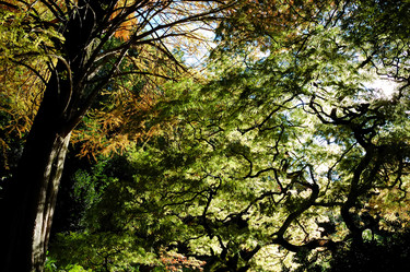 Similar image 8199508